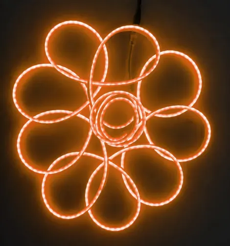 Orange Neon Flexible Rope 5M